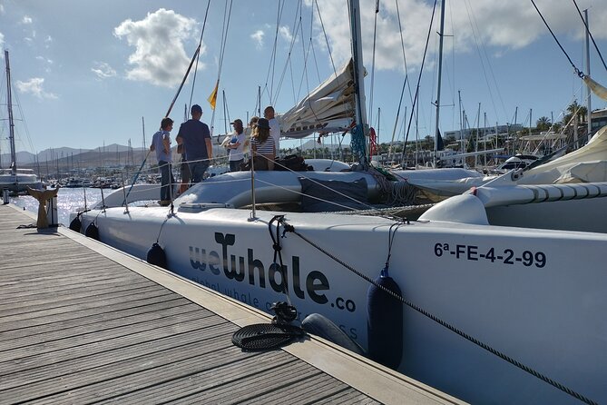 Small Group Dolphin Sunset Tour on Electric Catamaran Lanzarote - What the crew adds to the evening