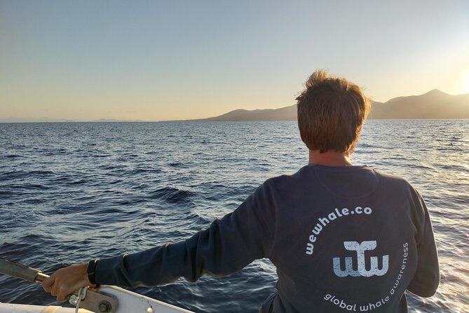 Small Group Dolphin Sunset Tour on Electric Catamaran Lanzarote - Watching for dolphins and whales
