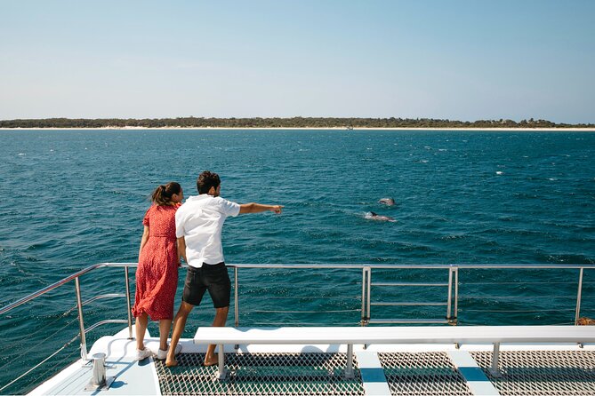 Small Group Port Stephens + Dolphins + 4WD/sandboarding ex Sydney - Key points to know before you book