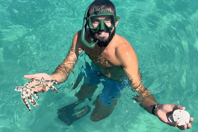 Snorkel & Dolphin Sightseeing Tour Aboard the Footloose - One complimentary drink, then a casual onboard bar