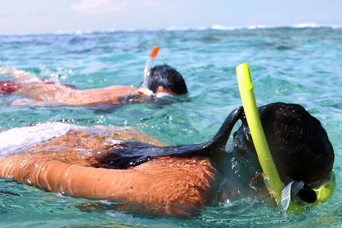 Snorkel & Dolphin Sightseeing Tour Aboard the Footloose - How good is the crew?