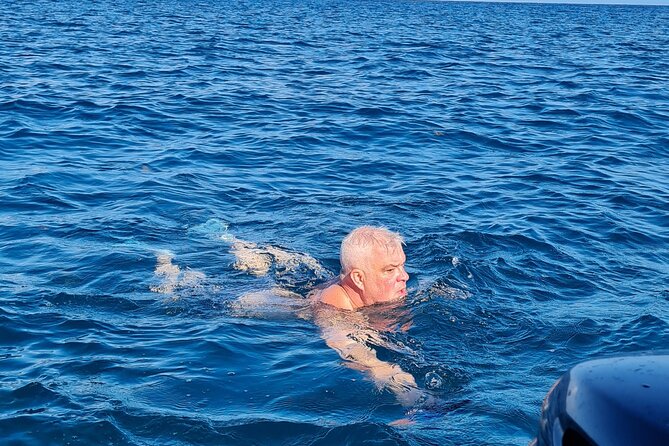 Snorkel with Dolphins, Lunch on Benitiers island, Speedboat - Ile aux Benitiers: beach time and a simple island lunch