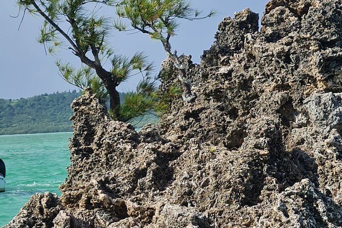Snorkel with Dolphins, Lunch on Benitiers island, Speedboat - What the $64.79 price covers