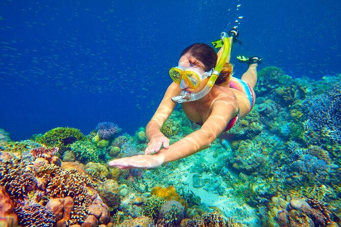 Snorkeling Adventure at Dolphin House Reef & Transfers-Marsa Alam - The first guided snorkeling session