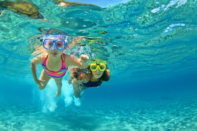 Snorkeling and Dolphin Watching Experience in Destin - Key points to know before booking
