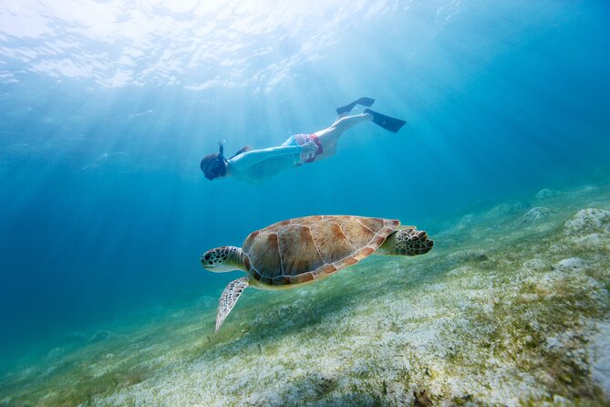 Snorkeling and Dolphin Watching Experience in Destin - Shallow-water snorkeling for beginners and children