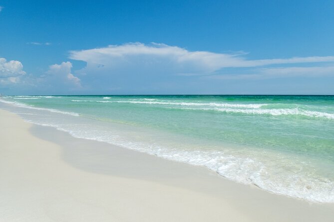Snorkeling and Dolphin Watching Experience in Destin - Shelling and the hermit crab race