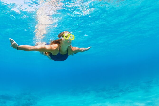 Snorkeling and Dolphin Watching Experience in Destin - Practical planning for the Fort Walton Beach departure