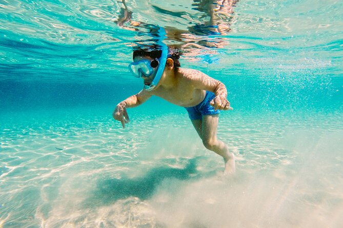 Snorkeling and Dolphin Watching Experience in Destin - Dolphin watching near Crab Island and the open water