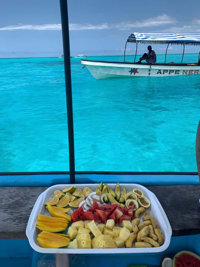 Snorkeling and swimming with dolphins in mnemba island - Snorkeling at two reef spots