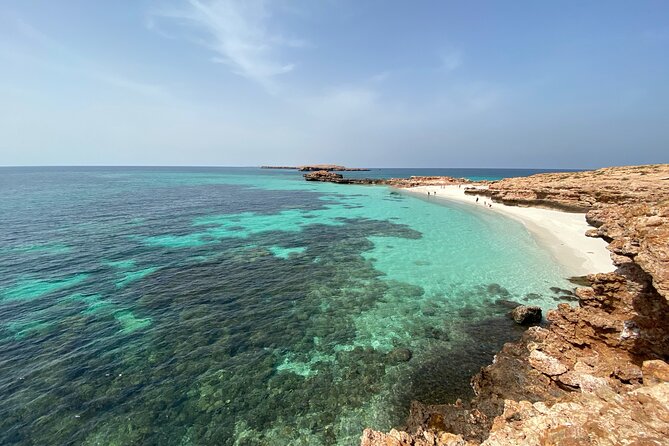 Snorkeling at Dimaniyat Islands and Dolphin Watching - Turtles, sharks, and the limits of dolphin watching