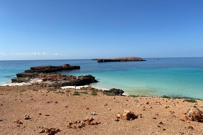 Snorkeling at Dimaniyat Islands and Dolphin Watching - The beach stop and time on shore
