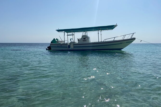 Snorkeling at Dimaniyat Islands and Dolphin Watching - What is included, and what is not