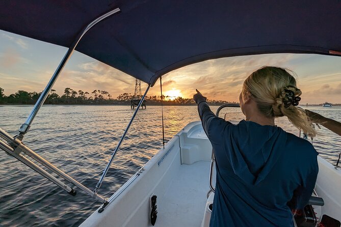 Snorkeling, Dolphin and Wildlife Sightings at St. Andrews Bay - Panama City Beach, birds, and bay views