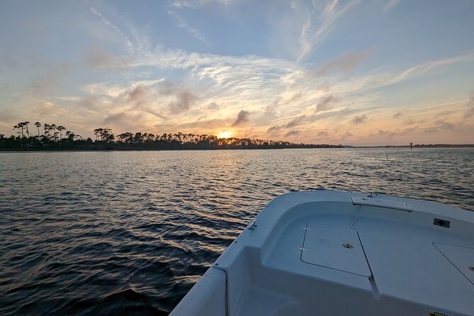 Snorkeling, Dolphin and Wildlife Sightings at St. Andrews Bay - Captain Brittany and the personal touch