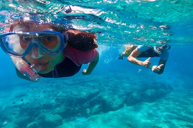 Snorkeling Experience to discover the dolphin inside you! - Key points to know before you book