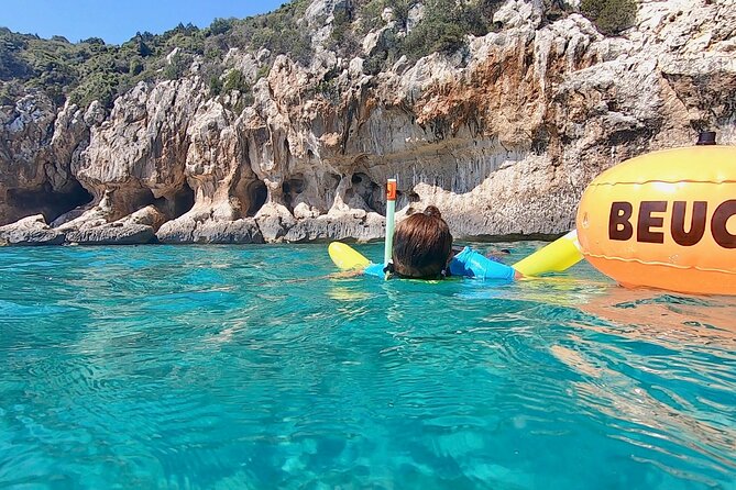 Snorkeling Experience to discover the dolphin inside you! - Identifying fish and plants after the swim