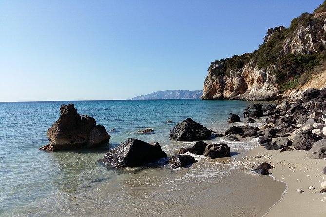 Snorkeling Experience to discover the dolphin inside you! - Reaching the beach from La Casa dei Pini
