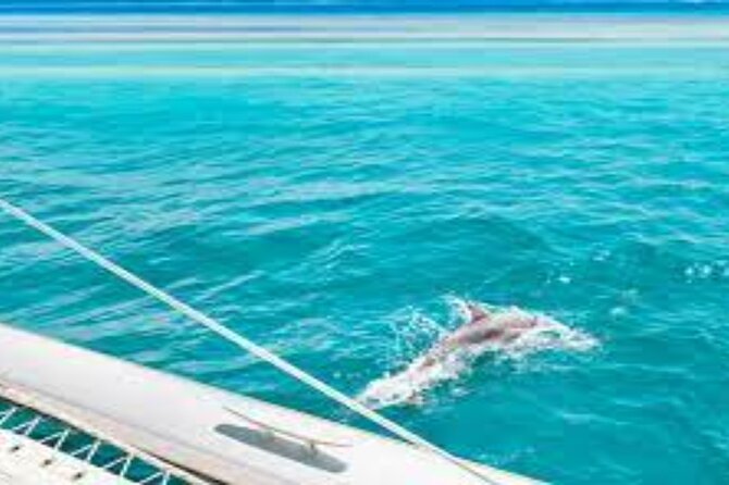 Snorkeling with Dolphins & Lunch In Sataya Reefs From Marsa Alam - Reaching Sataya Reef from Marsa Alam