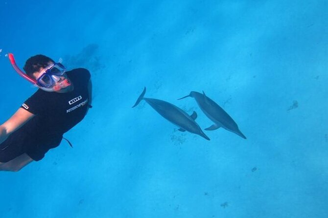 Snorkeling with Dolphins & Lunch In Sataya Reefs From Marsa Alam - First snorkeling stop: coral and fish