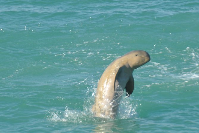 Snubfin Dolphin Eco Cruise from Broome - Setting out from Broome Fishing Club