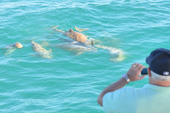 Snubfin Dolphin Eco Cruise from Broome - What the four-hour outing feels like