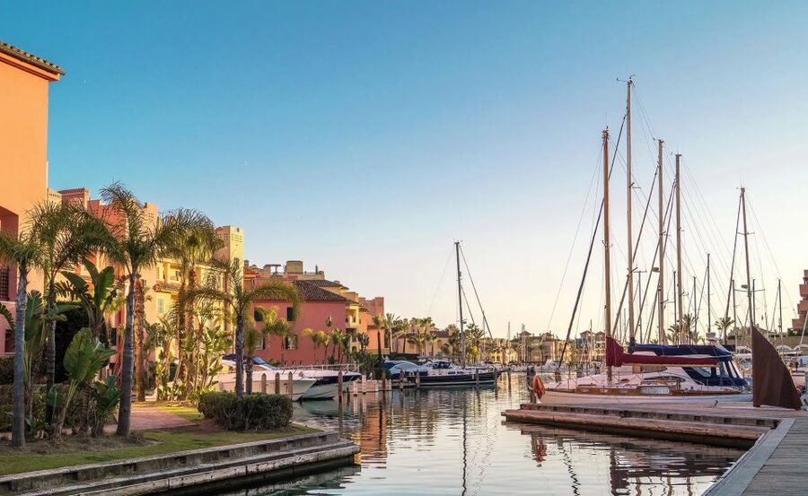 Sotogrande: Dolphin Watching Boat Trip with Drink - Leaving from Berth 78 in Sotogrande