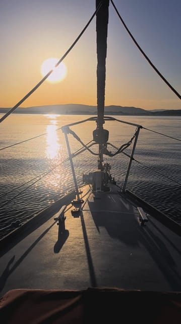 Sotogrande: Dolphin Watching Boat Trip with Drink - What the $60 price really buys