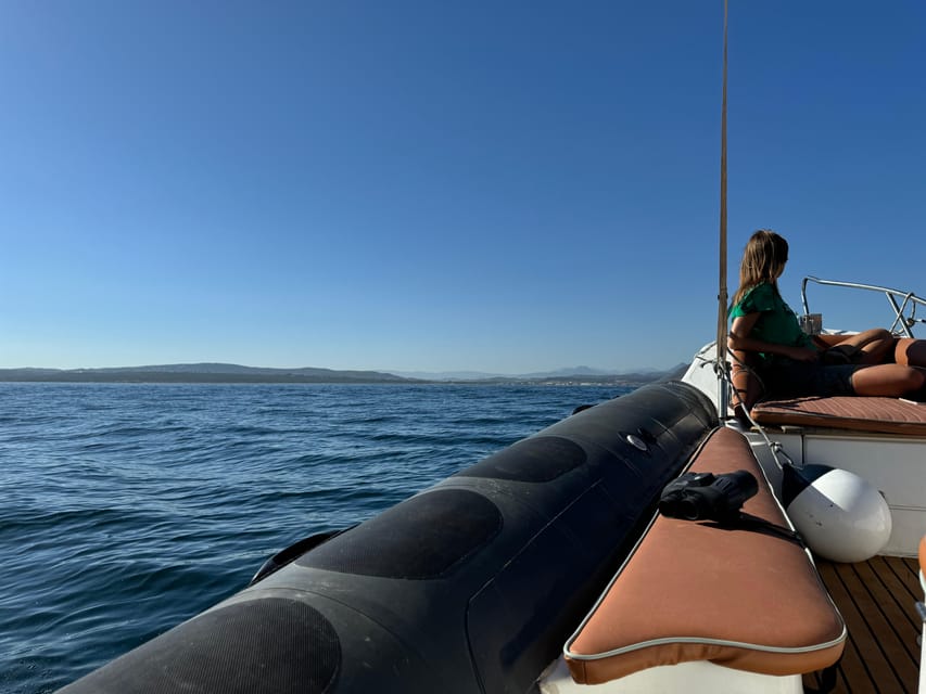 Sotogrande: Dolphin watching experience with expert crew - Key points at a glance