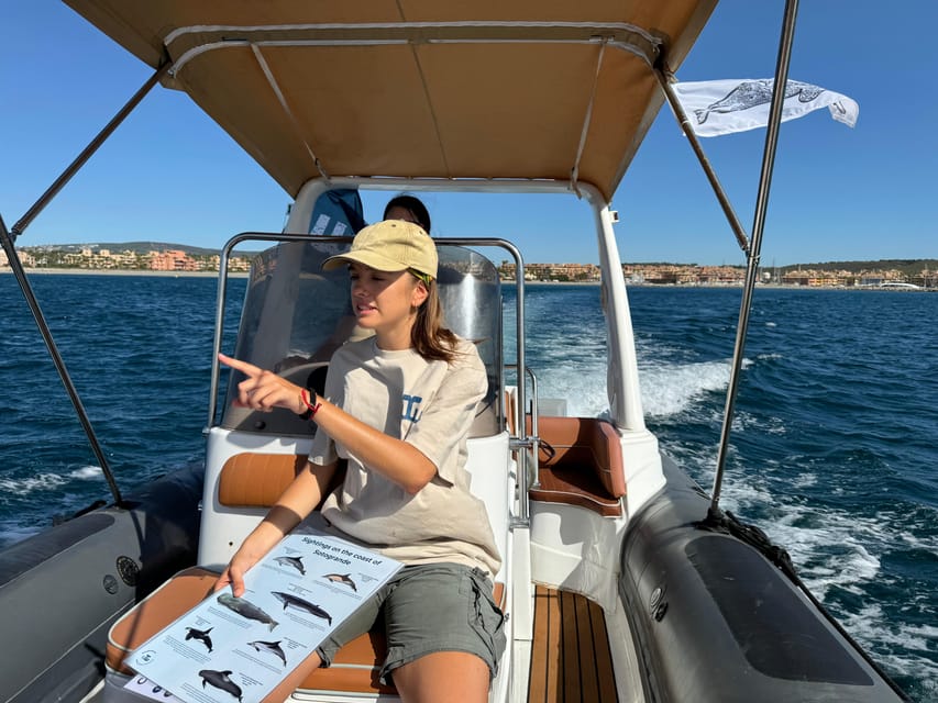 Sotogrande: Dolphin watching experience with expert crew - Why the Strait of Gibraltar is a smart place for dolphin watching
