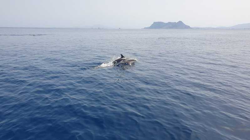 Sotogrande: Dolphin watching experience with expert crew - Boarding Bretema, the hybrid wildlife boat
