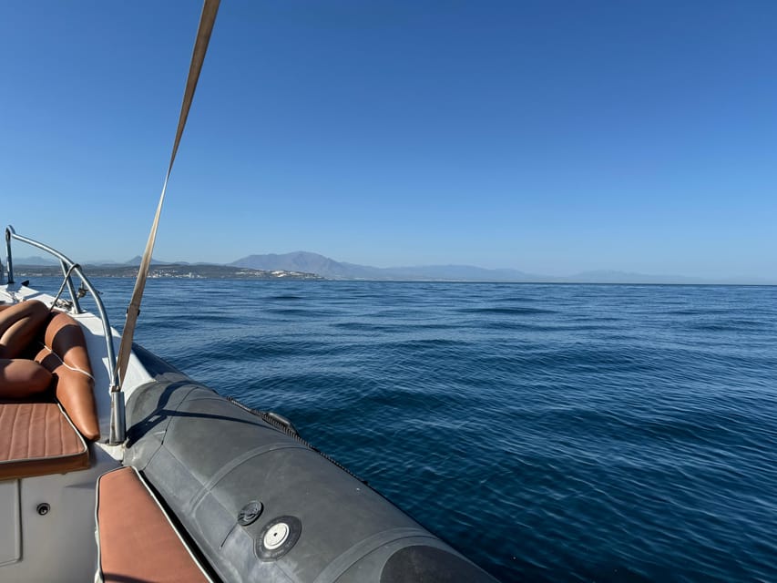 Sotogrande: Dolphin watching experience with expert crew - The first 90 minutes: searching Sotogrande’s waters