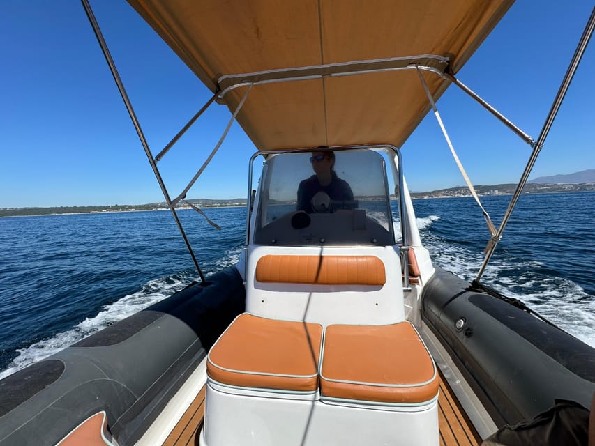 Sotogrande: Dolphin watching experience with expert crew - What the marine-life masterclass adds