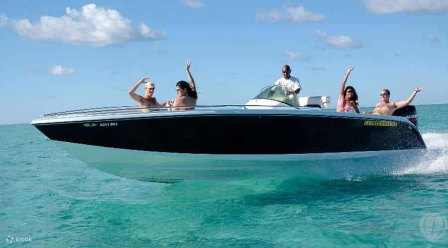 Speedboat to Ile aux Benitier: Dolphin Encounter & Lunch - The dolphin encounter near Tamarin Bay