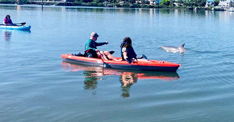 St. Augustine: Dolphin and Manatee Paddle or Kayak Tour - Starting at Lighthouse Park on the St. Augustine Shoreline