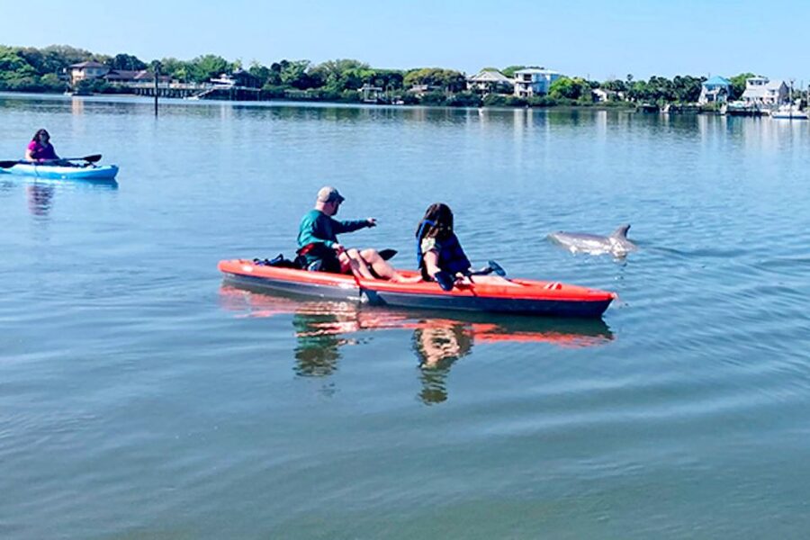 St. Augustine: Dolphin and Manatee Paddle or Kayak Tour - A Short Lesson Before You Chase Wildlife