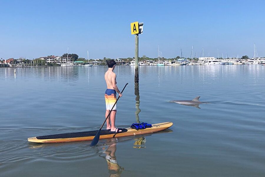 St. Augustine: Dolphin and Manatee Paddle or Kayak Tour - The Guides Make the Biggest Difference