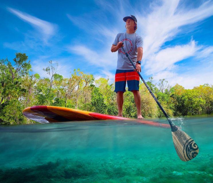 St. Augustine: Dolphin and Manatee Paddle or Kayak Tour - Paddling Through St. Augustine’s Saltwater Channels
