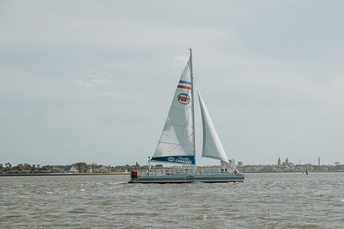 St. Augustine Dolphin Watch and Historical Harbor Tour - The catamaran, drinks, snacks, and comfort