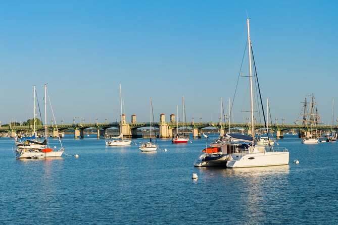 St. Augustine Dolphin Watch and Historical Harbor Tour - Families, couples, and older visitors