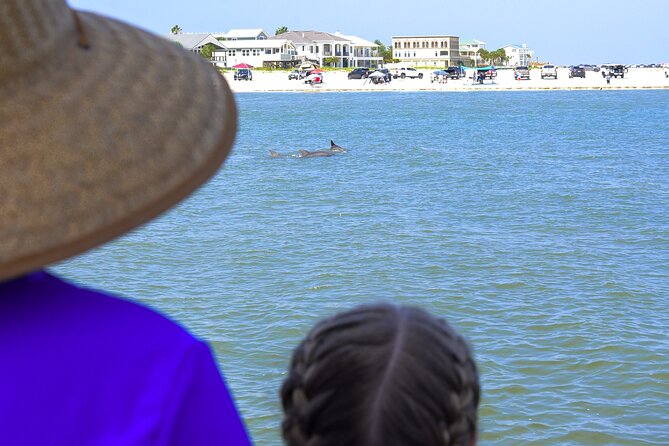 St. Augustine Dolphin Watch and Historical Harbor Tour - Timing, weather, and cancellation details