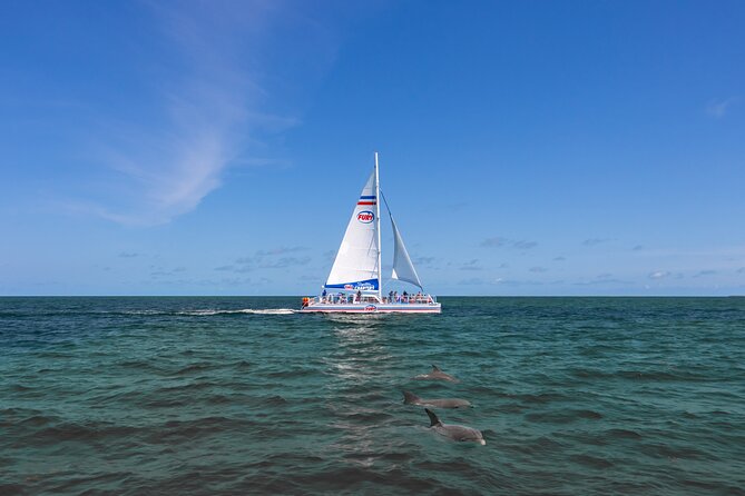 St. Augustine Dolphin Watch and Historical Harbor Tour - Seeing Castillo de San Marcos from the harbor