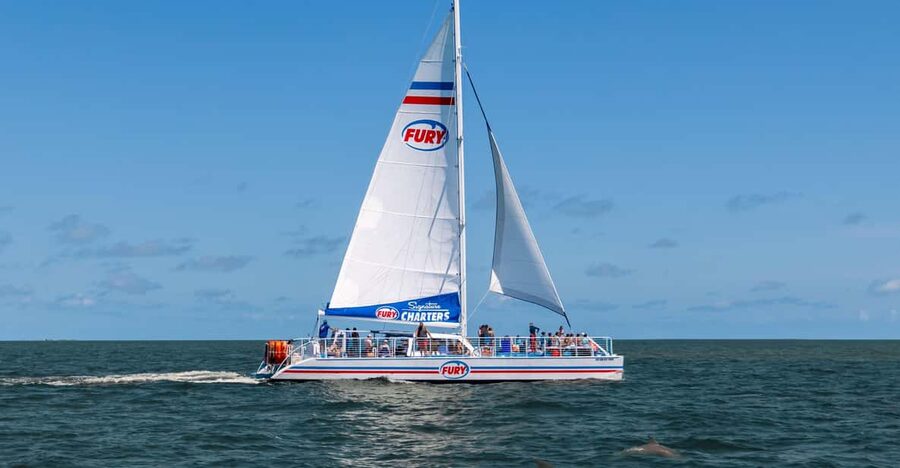St. Augustine: Dolphin Watching Harbor Tour with Drinks - Key points at a glance