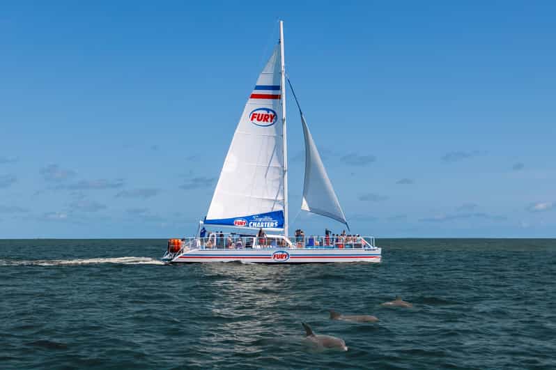 St. Augustine: Dolphin Watching Harbor Tour with Drinks - Leaving from Vilano Beach