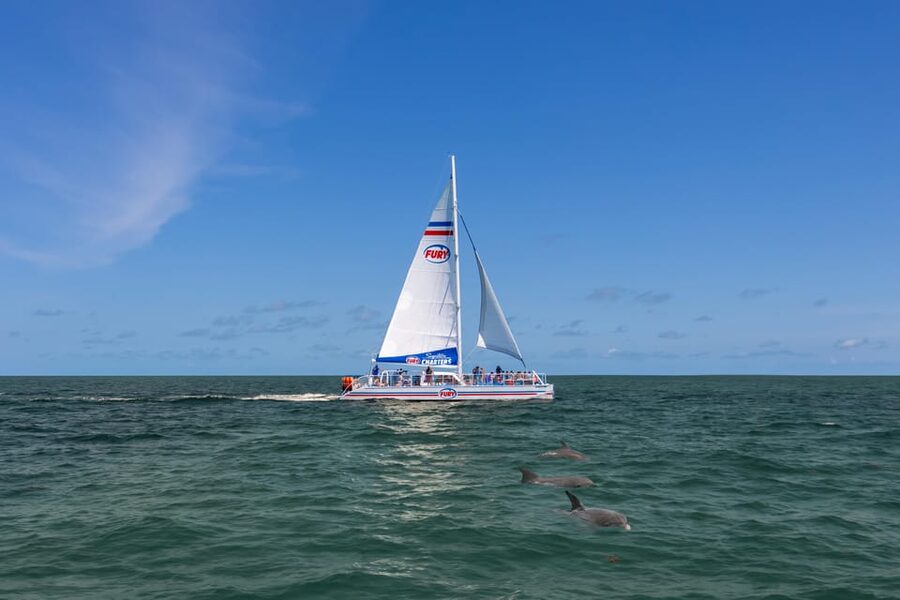 St. Augustine: Dolphin Watching Harbor Tour with Drinks - Drinks, snacks, and an easy pace