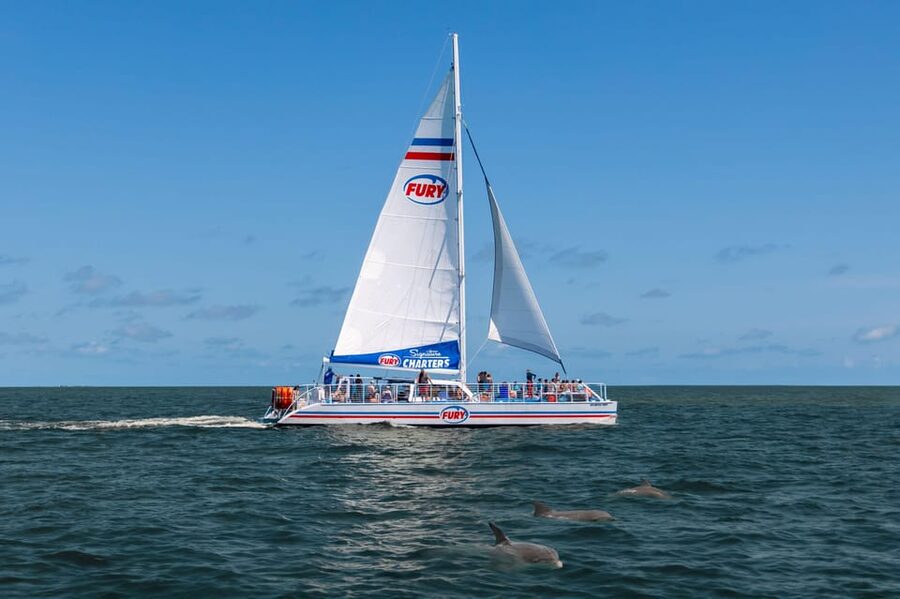 St. Augustine: Dolphin Watching Harbor Tour with Drinks - A comfortable ride on the 45-foot catamaran