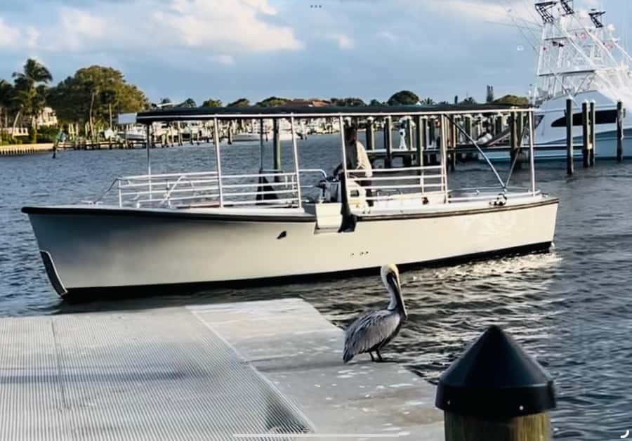 St. Augustine: Sunset Boat Tour with Dolphin Spotting - Nights of Lights And Evening Departures