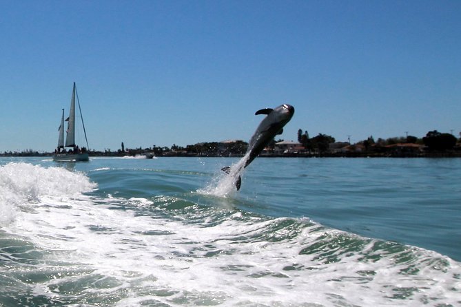 St. Pete Beach Dolphin Racer Adventure - The Gulf cruise and the search for dolphins