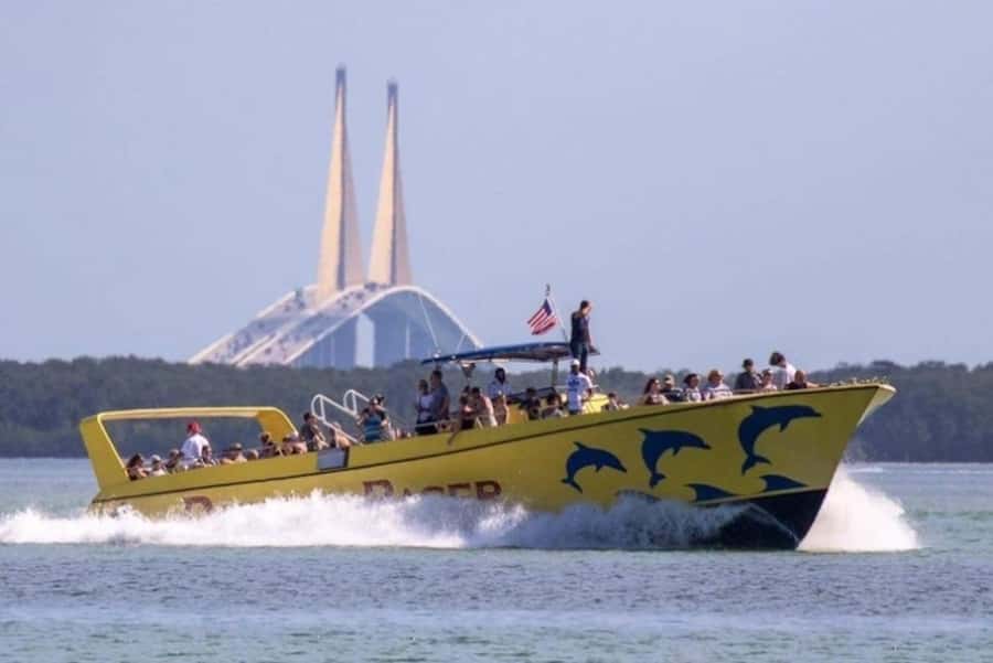 St. Pete Beach: Dolphin Racer Cruise by Speedboat - Key points before you book