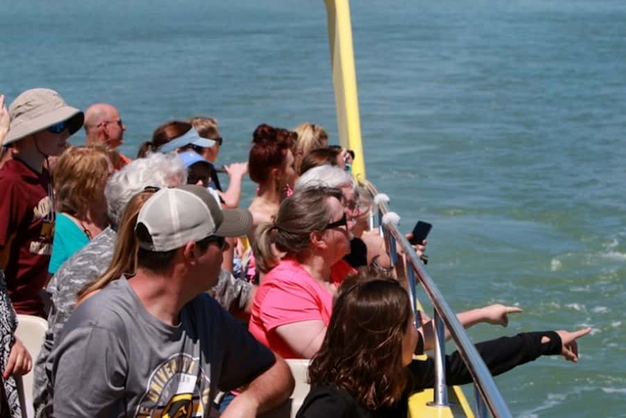 St. Pete Beach: Dolphin Racer Cruise by Speedboat - The captain’s commentary and onboard mood